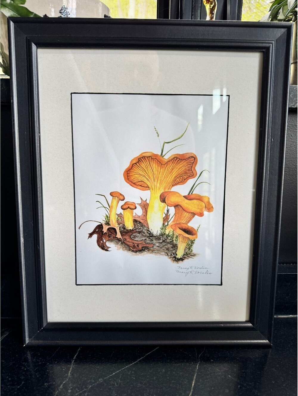 Framed Original Watercolor Chanterelle Mushroom Painting - WI Artist